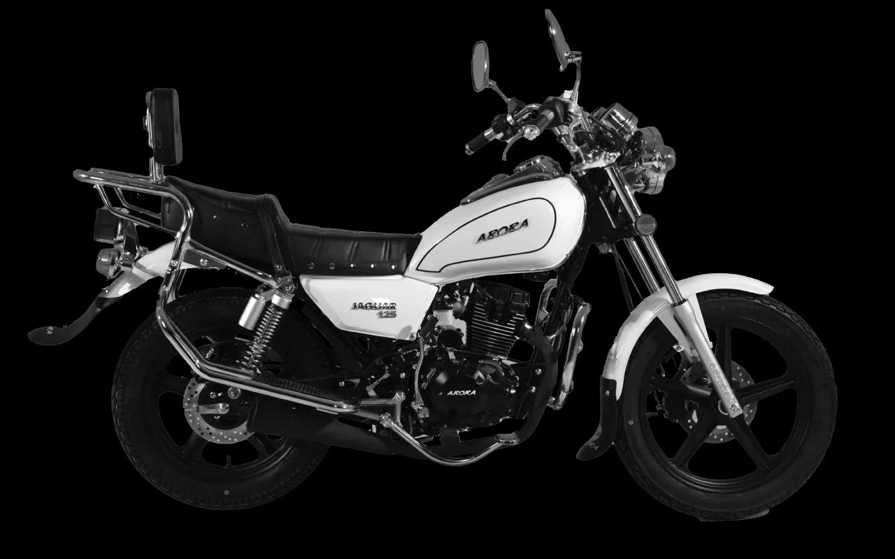 ARORA Arora Jaguar-125 2025 Model Motosiklet - Görsel 2